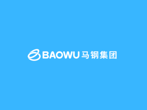 中国轨道交通轮轴与综合钢材制造商：马鞍山钢铁股份 Maanshan Iron & Steel Company Limited(0323)