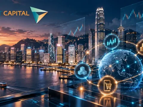 上市与非上市证券投资公司：鼎立资本 DT Capital Limited(0356)