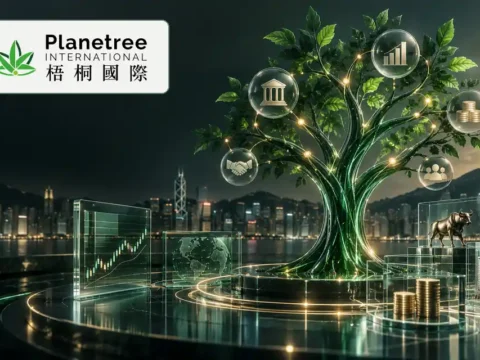 多元金融服务公司：梧桐国际发展 Planetree International Development Limited(0613)