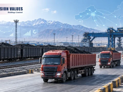 新疆煤炭物流与多元资产运营公司：远见控股 Vision Values Holdings Limited(0862)