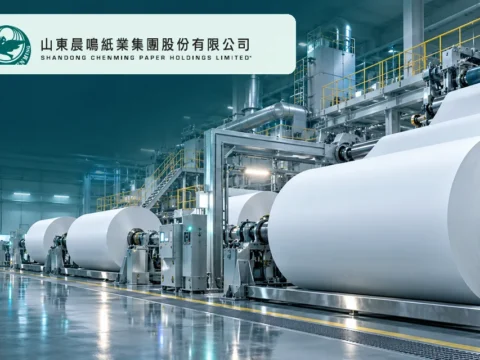 浆纸一体化造纸公司：晨鸣纸业 Shandong Chenming Paper Holdings Limited(1812)