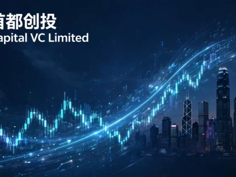 投资控股公司：首都创投 Capital VC Limited(2324)