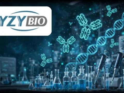 双特异性抗体药物研发商：友芝友生物 Wuhan YZY Biopharma Co., Ltd.(2496)