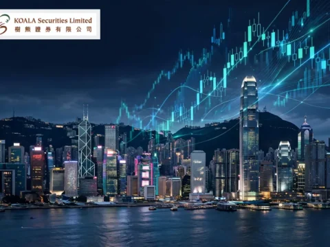 金融服务投资控股公司：树熊金融集团 KOALA Financial Group Limited(8226)
