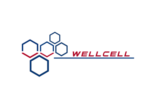 电信网络支援与ICT集成服务商：经纬天地 WellCell Holdings Co., Limited(2477)